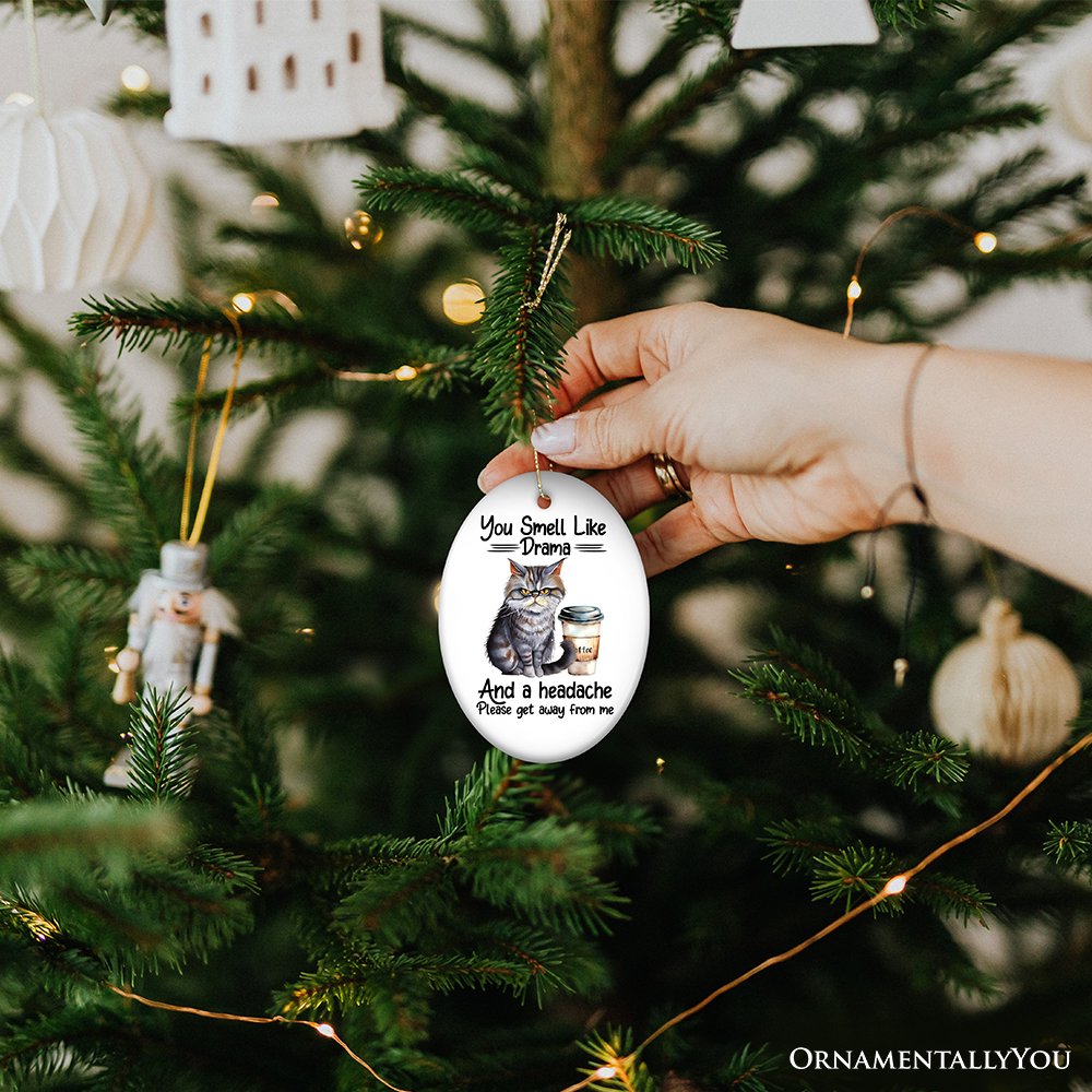 You Smell Like Drama Quirky Cat Ornament, Cute and Funny Christmas Gift