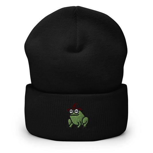 Magical Wizard Toad, Wizard Frog Embroidered Beanie, Handmade Cuffed Knit Unisex Slouchy Adult Winter Hat Cap Gift