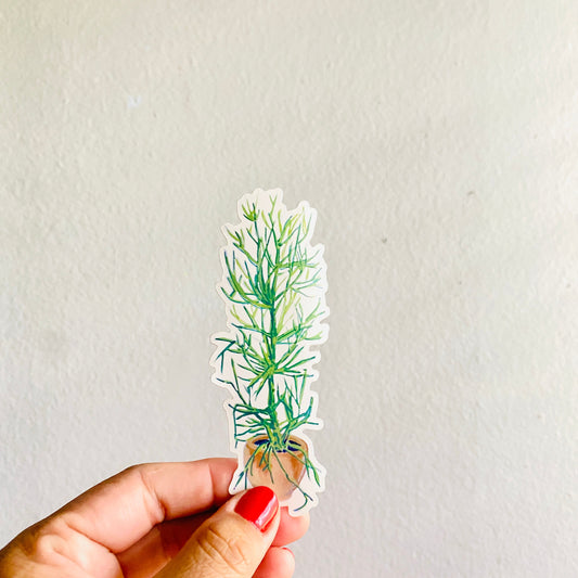 Pencil Cactus in a Pot | 4" Sticker Decal | Waterproof Weatherproof | Nopal Cactus Latinx
