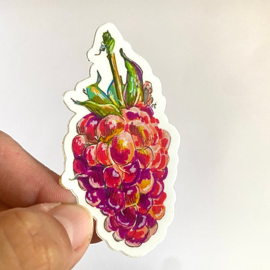 Sparkling Raspberry | 3" Sticker Decal | Waterproof Weatherproof | Cottagecore Garden Farm