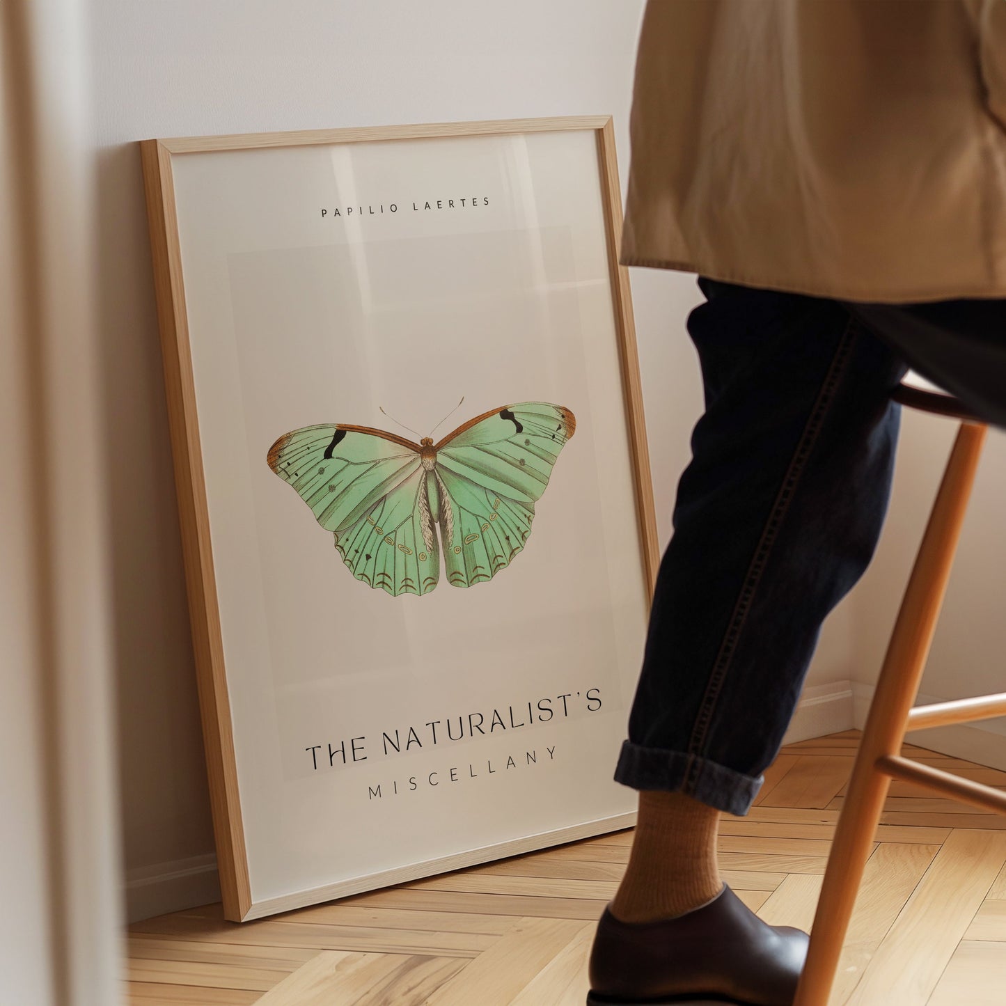 The Naturalists Miscellany Art Print, Papilio Laertes Butterfy, Girly Wall Art, Famous Art Prints, Entomology Poster, Butterfly Artwork