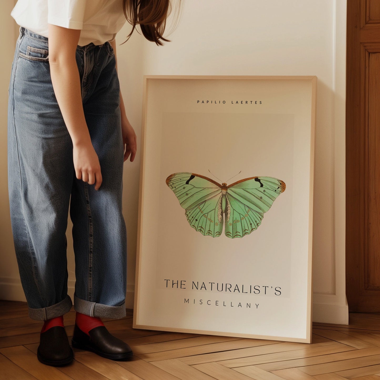 The Naturalists Miscellany Art Print, Papilio Laertes Butterfy, Girly Wall Art, Famous Art Prints, Entomology Poster, Butterfly Artwork