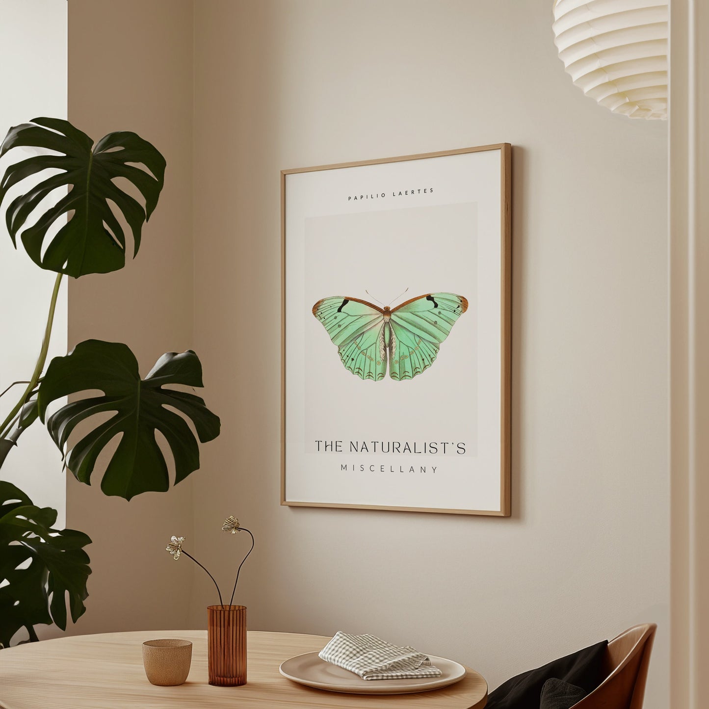 The Naturalists Miscellany Art Print, Papilio Laertes Butterfy, Girly Wall Art, Famous Art Prints, Entomology Poster, Butterfly Artwork