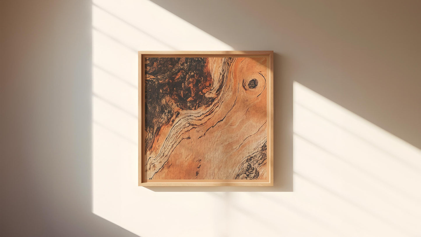 Rose Wood Wall Decor Rustic Boho Style Print Luxury Antique Wooden Style Living Room Wall Art Mid Century Modern Minimalist Simplistic Art