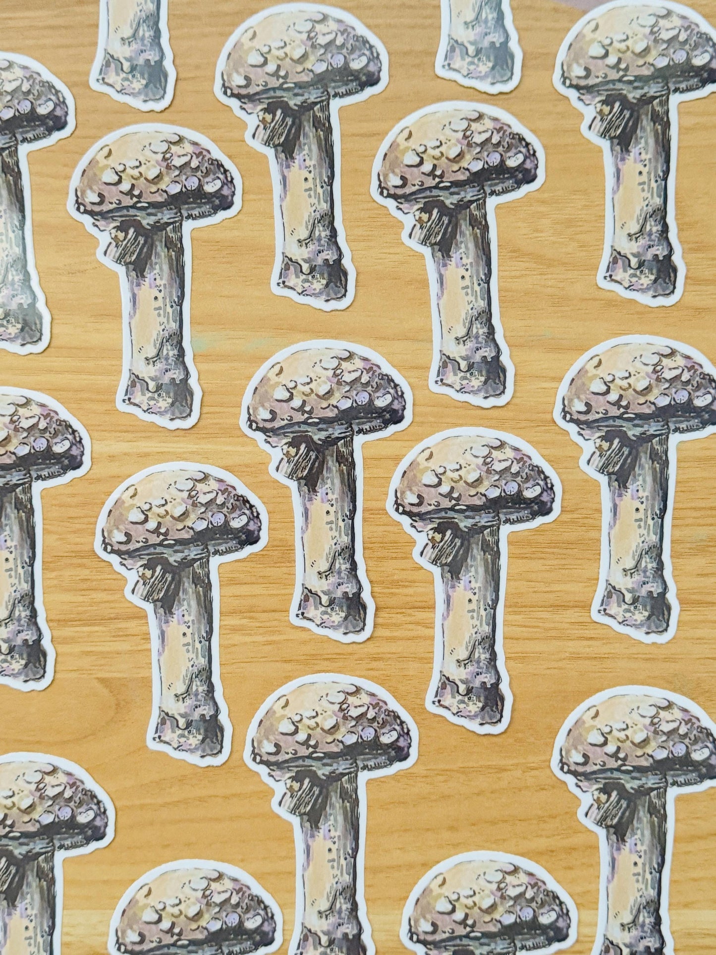Mushroom Decal | Waterproof Weatherproof | Forest Fungi Mushroom Sticker