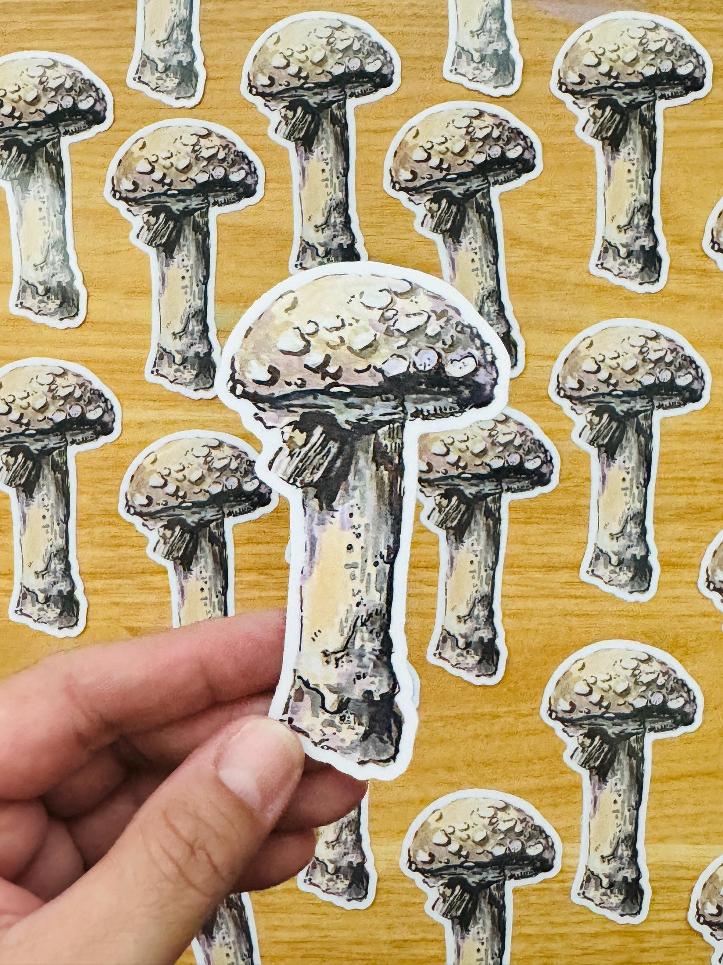 Mushroom Decal | Waterproof Weatherproof | Forest Fungi Mushroom Sticker