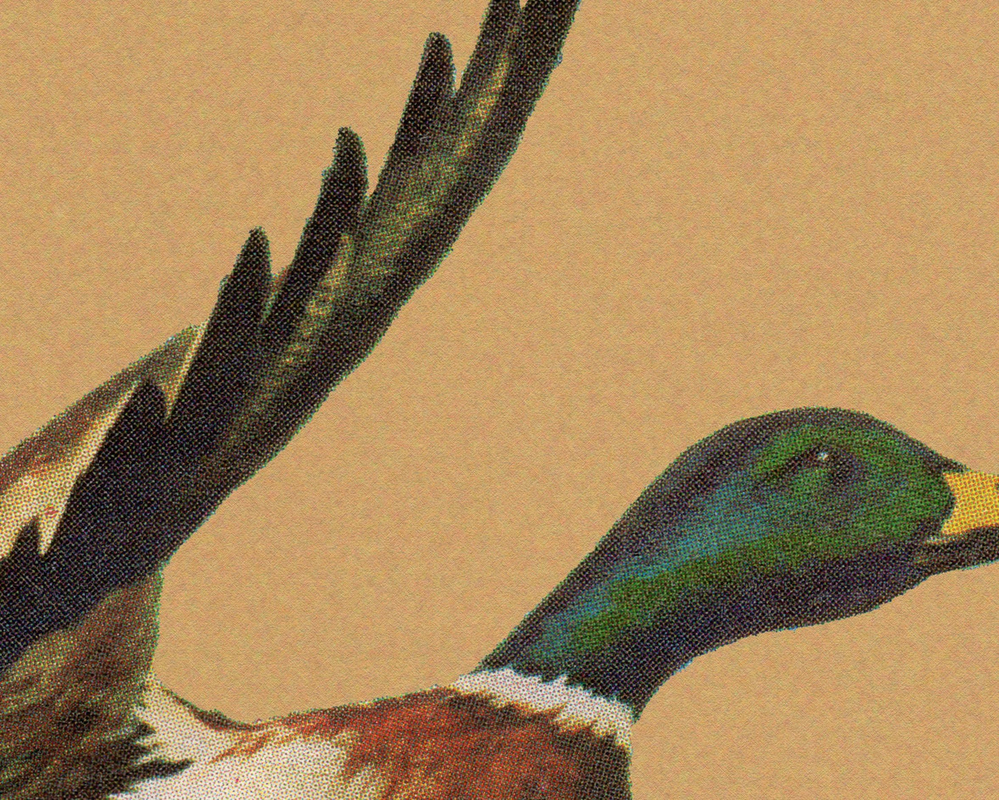 Vintage Flying Mallard Print Retro Outdoors Magazine Screen Print Styled Poster Cabin Cottage Wall Art Waterfowl Duck Hunting Poster for Dad