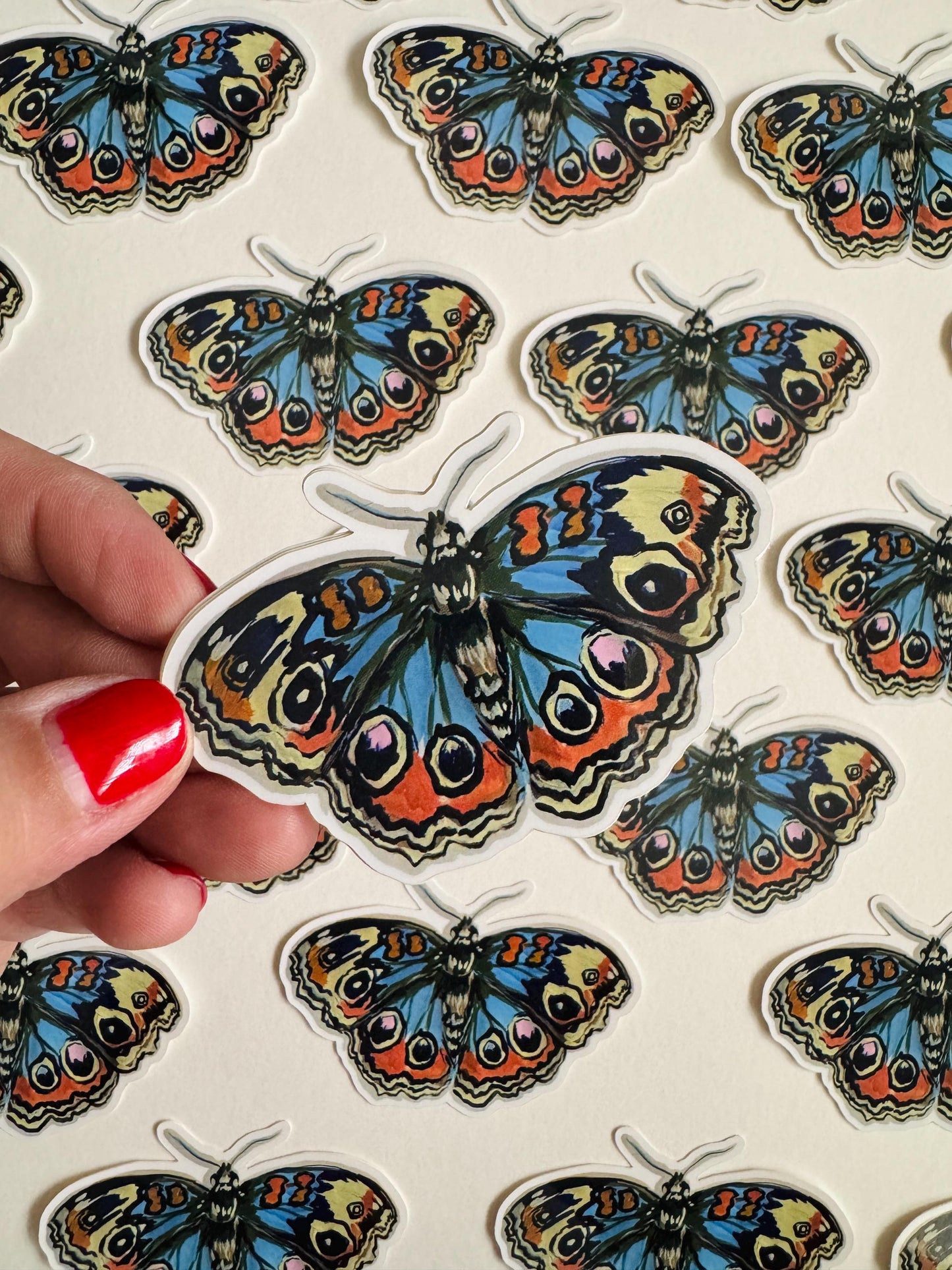 Blue Buckeye Butterfly Sticker | Illustrated Artwork | Butterfly Decal