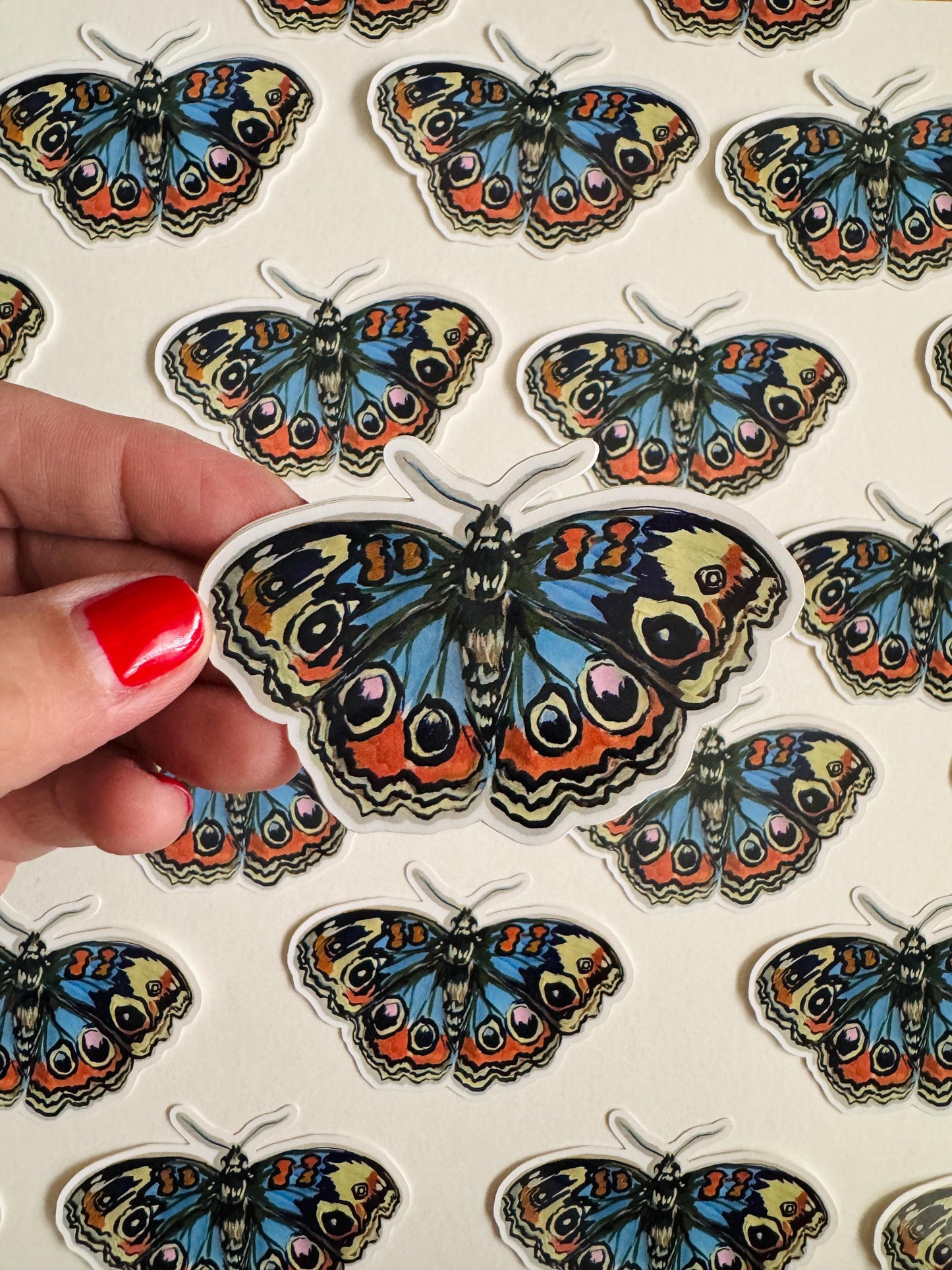 Blue Buckeye Butterfly Sticker | Illustrated Artwork | Butterfly Decal