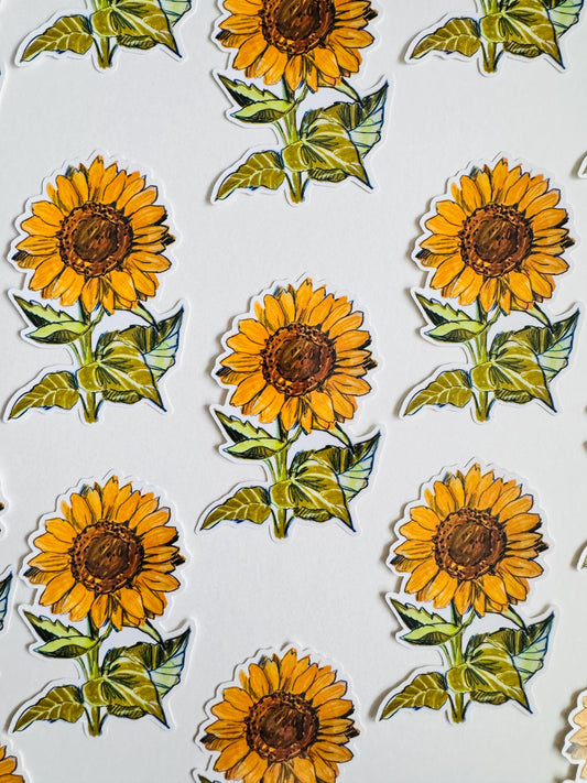Sunflower Sticker | Original Illustration Decals | Nature Naturalist Flowers
