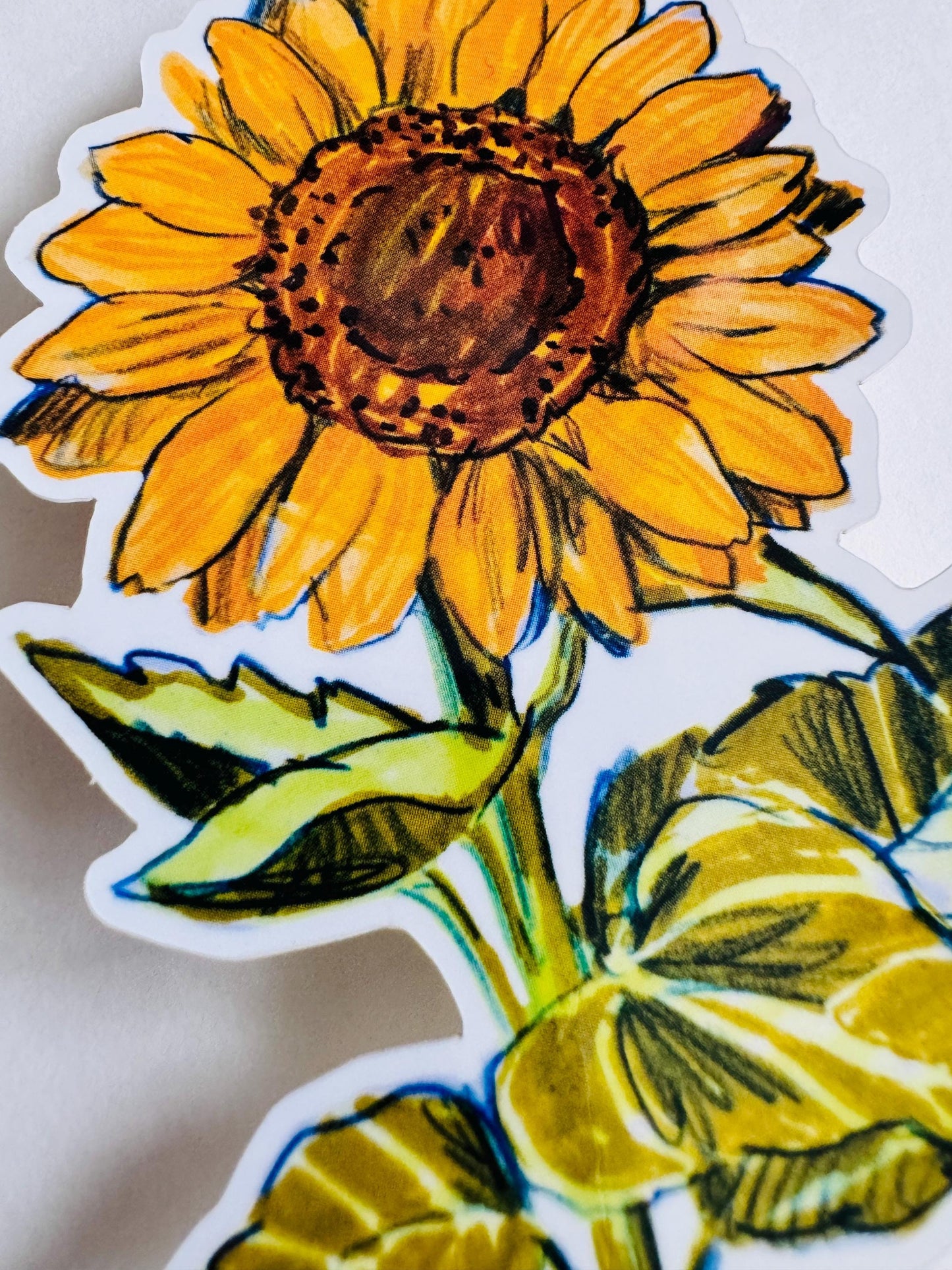 Sunflower Sticker | Original Illustration Decals | Nature Naturalist Flowers