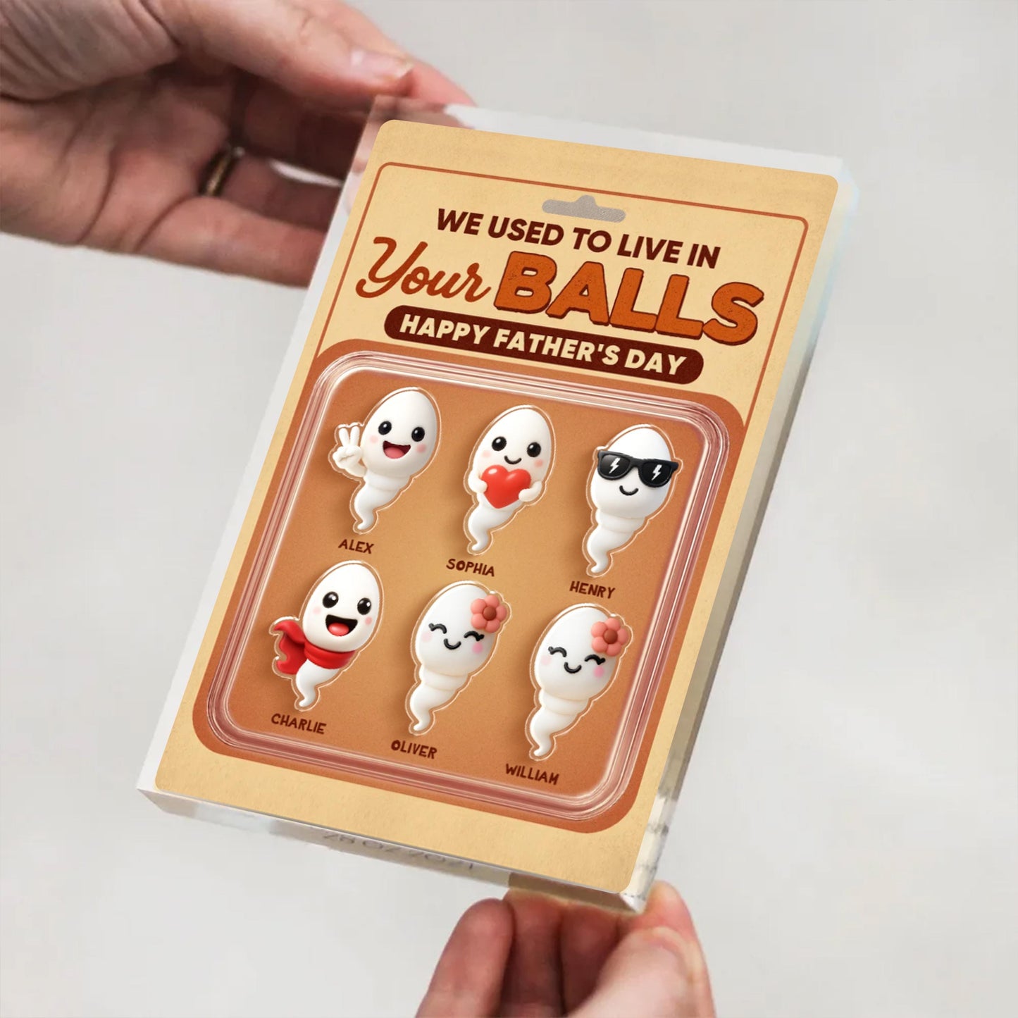 We Used To Live In Your Balls Toy Box Figures Style Personalized Acrylic Block Plaque, Funny Father's Day gift for Dads, Husband, Father