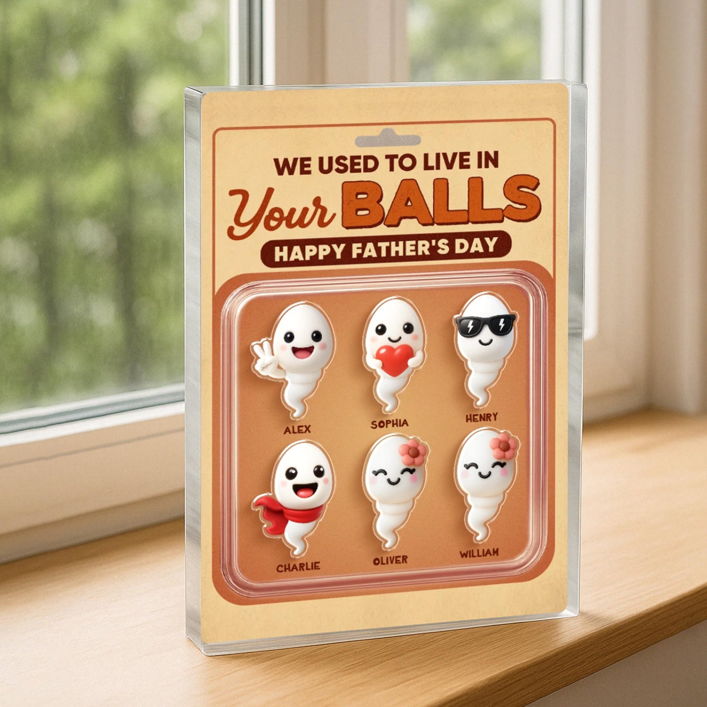 We Used To Live In Your Balls Toy Box Figures Style Personalized Acrylic Block Plaque, Funny Father's Day gift for Dads, Husband, Father