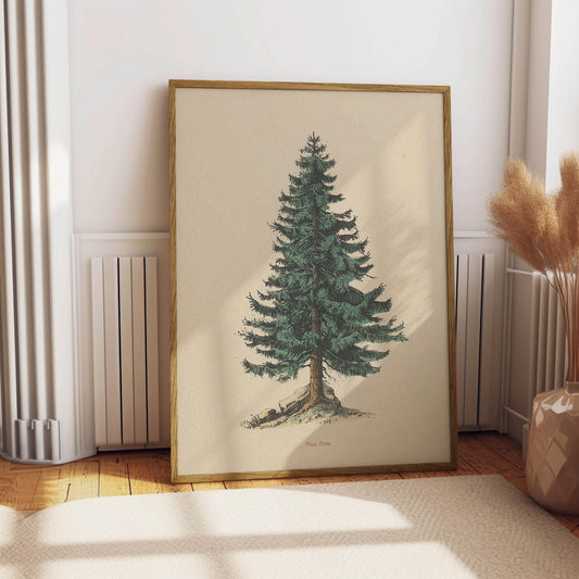 Vintage Pine Tree Drawing Print Fine Art Spruce Poster Cabin Cottage Wall Art Botanical Forest Illustration Nature Wall Decor