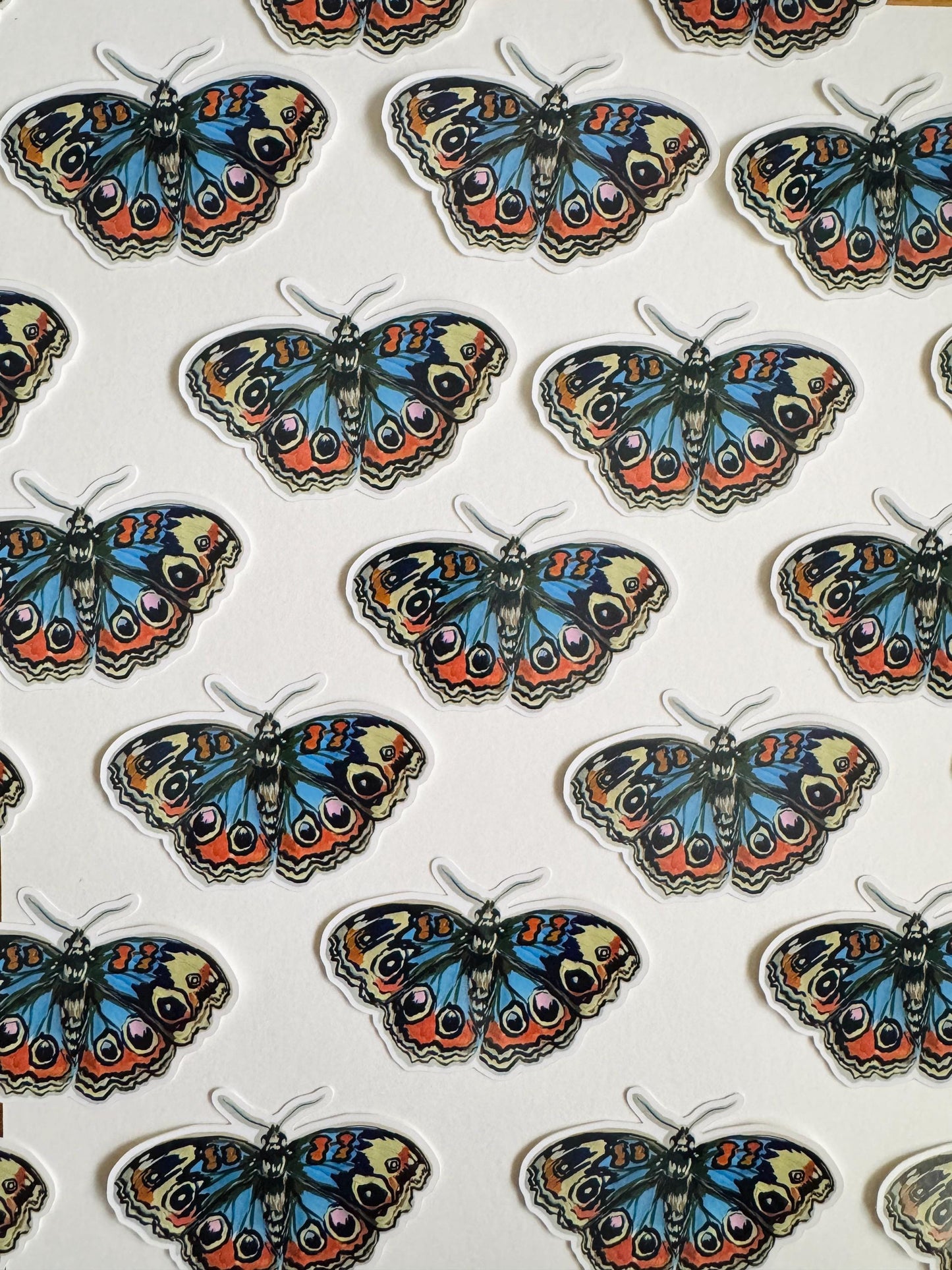 Blue Buckeye Butterfly Sticker | Illustrated Artwork | Butterfly Decal
