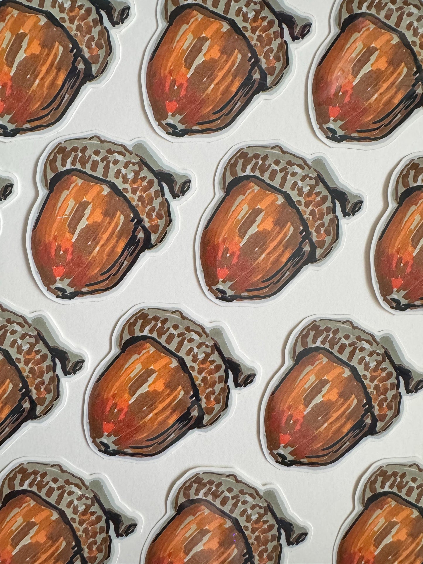 Acord Seed Sticker | Original Illustration Decals | Nature Naturalist Acorns