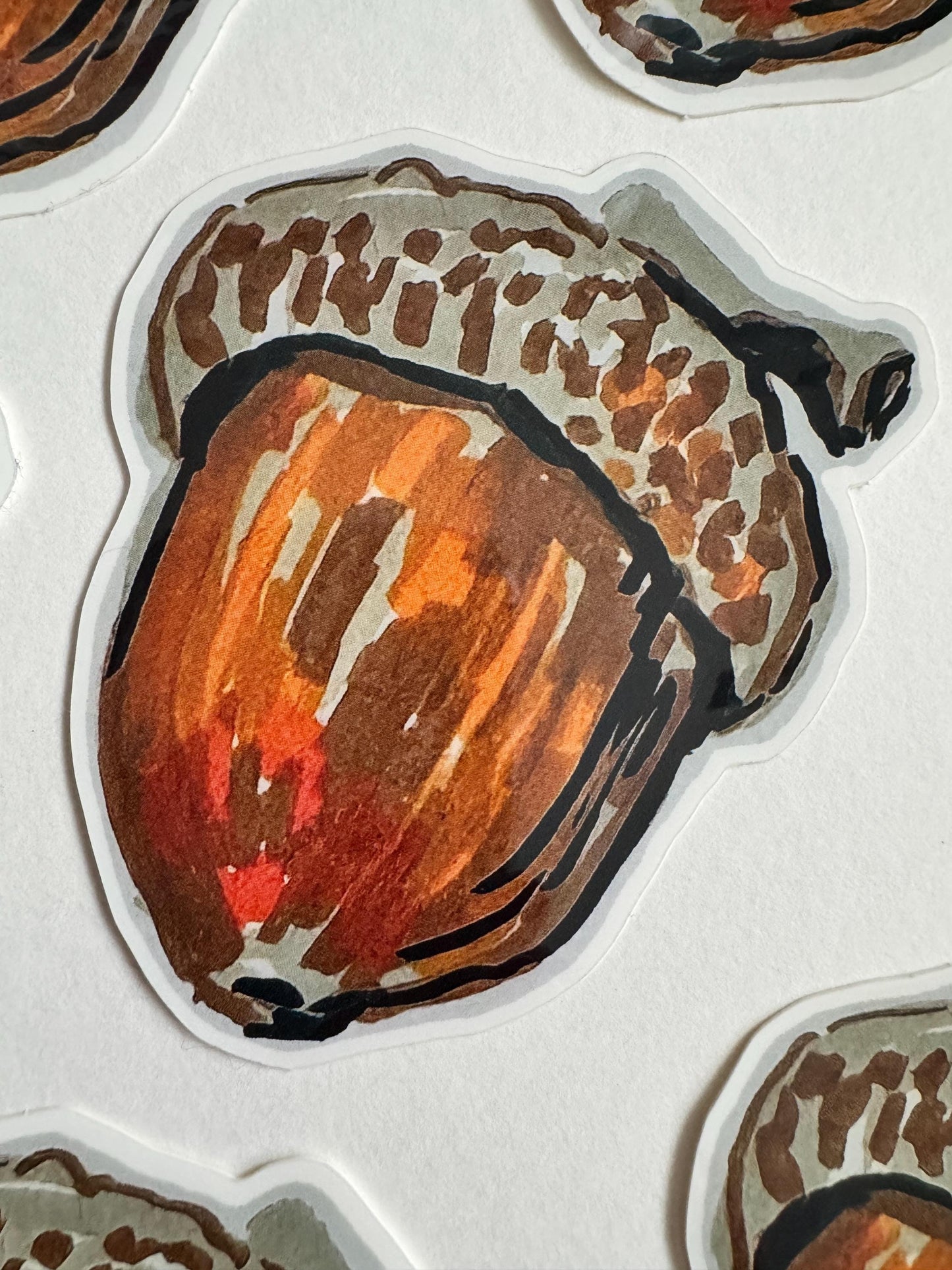 Acord Seed Sticker | Original Illustration Decals | Nature Naturalist Acorns
