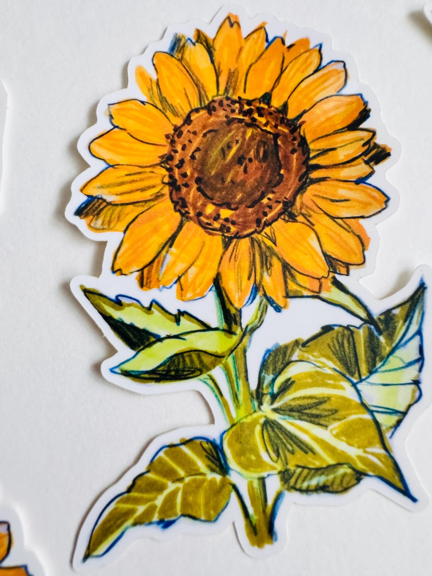 Sunflower Sticker | Original Illustration Decals | Nature Naturalist Flowers