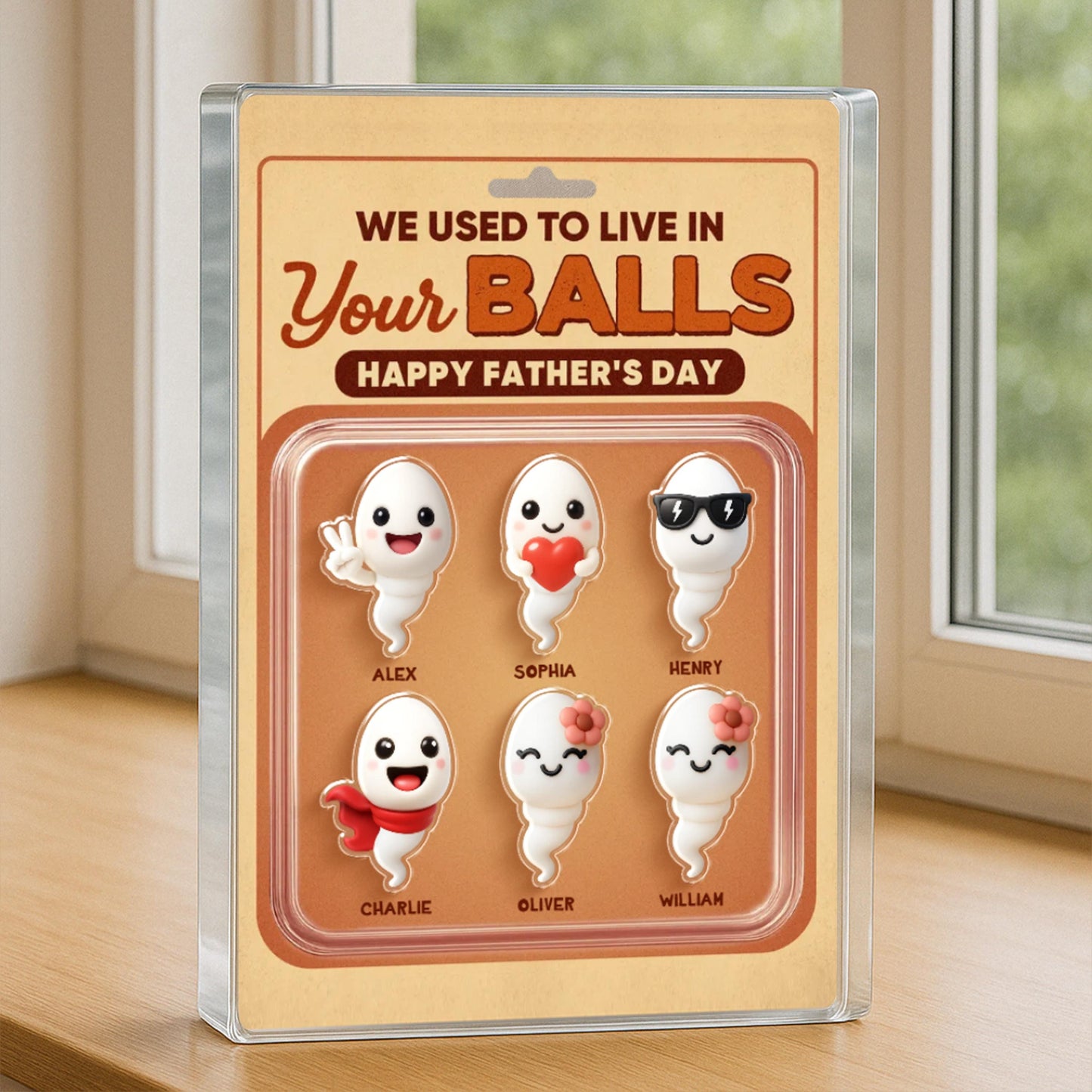 We Used To Live In Your Balls Toy Box Figures Style Personalized Acrylic Block Plaque, Funny Father's Day gift for Dads, Husband, Father