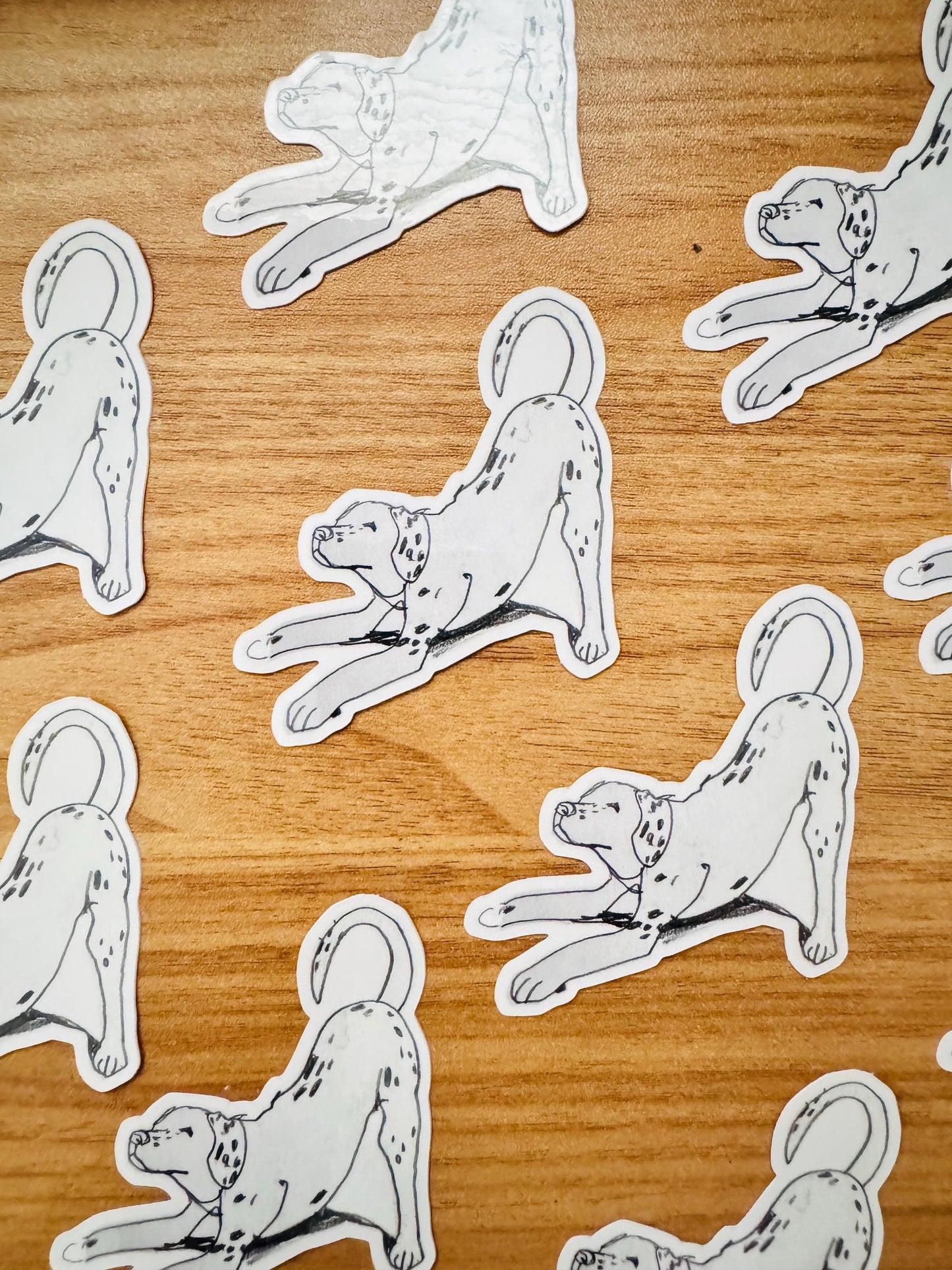 Dog Yoga Dalmatian | Vinyl Sticker Decal | Waterproof Weatherproof | Cute Dog Portraits drawing