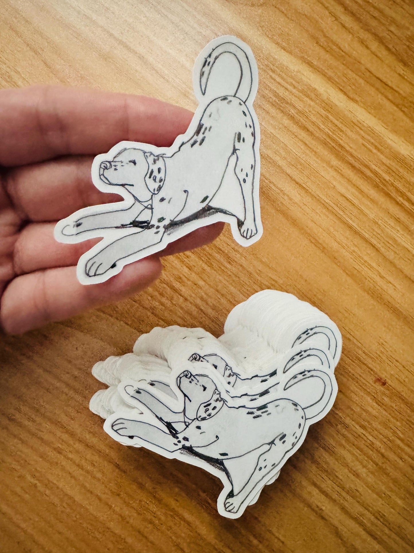 Dog Yoga Dalmatian | Vinyl Sticker Decal | Waterproof Weatherproof | Cute Dog Portraits drawing