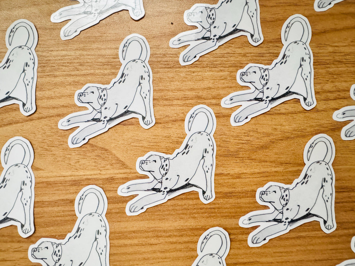 Dog Yoga Dalmatian | Vinyl Sticker Decal | Waterproof Weatherproof | Cute Dog Portraits drawing