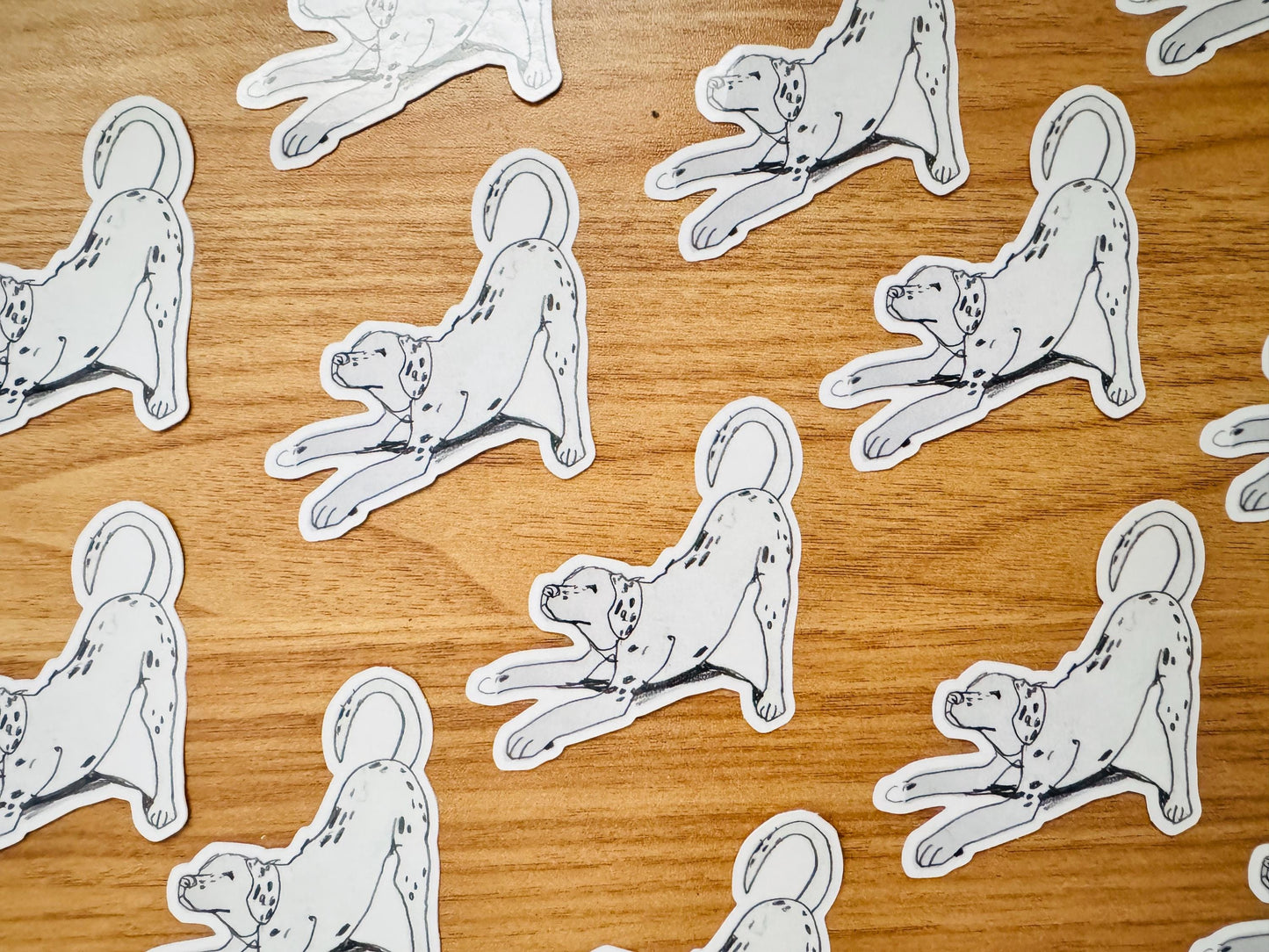 Dog Yoga Dalmatian | Vinyl Sticker Decal | Waterproof Weatherproof | Cute Dog Portraits drawing
