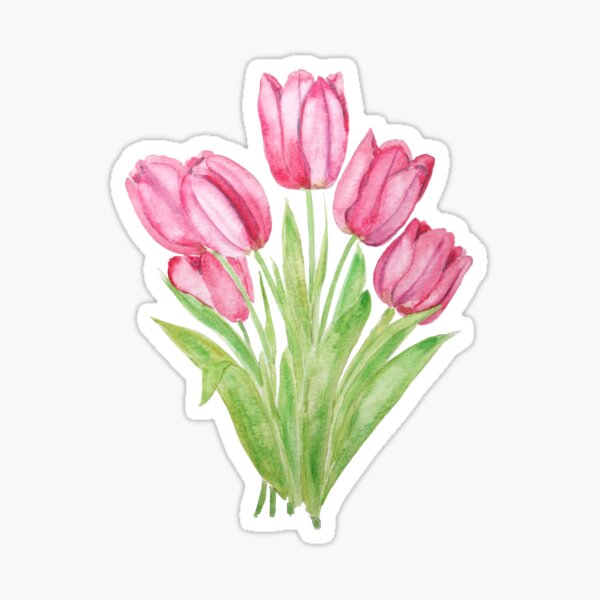 hand painted pink tulips flowers watercolor painting Sticker
