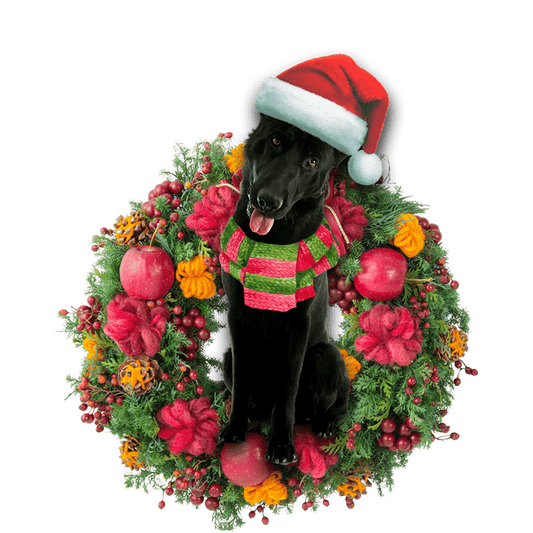 Black German Shepherd Christmas Christmas Plastic Hanging Ornament, Christmas Ornament Gift, Christmas Gift, Christmas Decoration