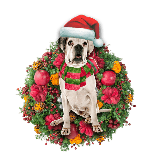 Boxer Dog Christmas Christmas Plastic Hanging Ornament, Christmas Ornament Gift, Christmas Gift, Christmas Decoration