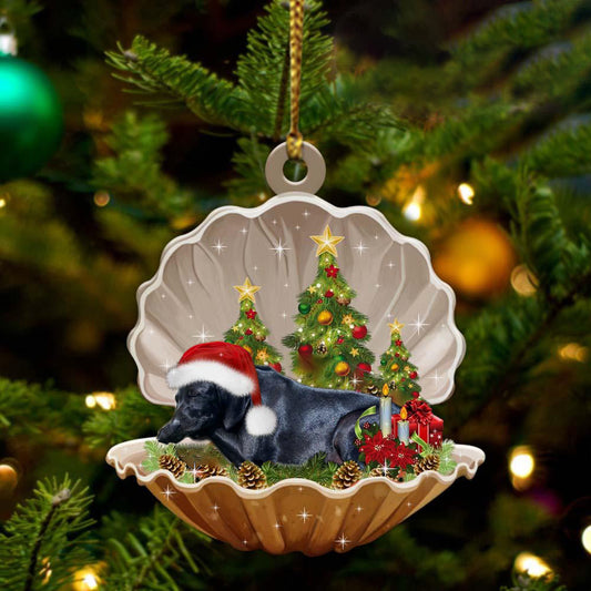 Black Labrador Retriever-Sleeping Pearl in Christmas Two Sided Christmas Plastic Hanging Ornament, Christmas Ornament Gift, Christmas Gift, Christmas Decoration