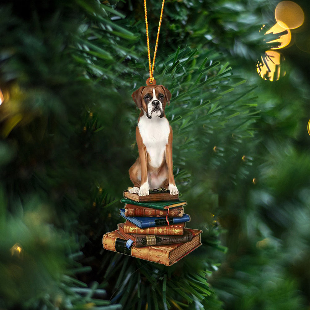 Boxer-Sit On The Book Two Sides Christmas Plastic Hanging Ornament, Christmas Ornament Gift, Christmas Gift, Christmas Decoration