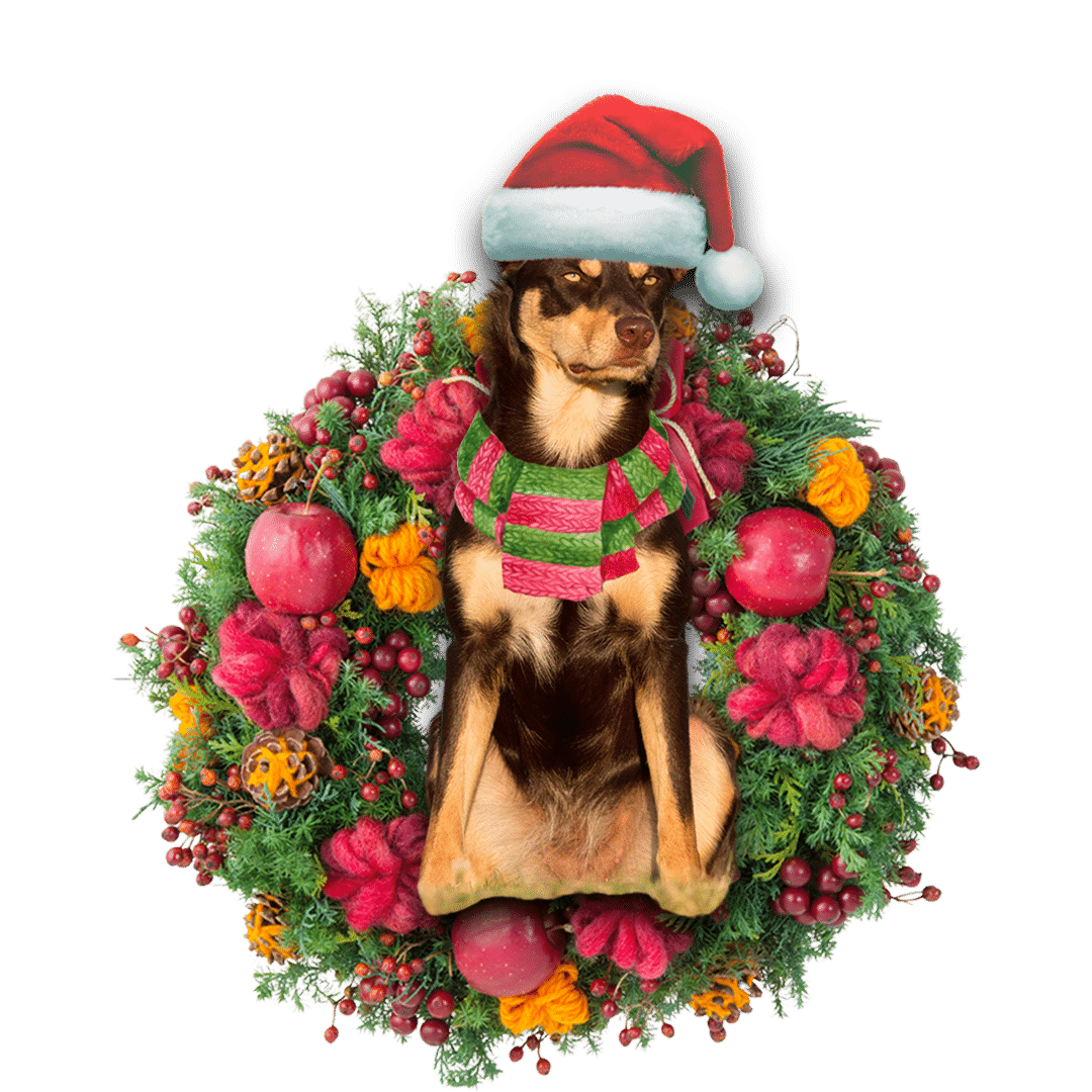 Australian Kelpie Christmas Christmas Plastic Hanging Ornament, Christmas Ornament Gift, Christmas Gift, Christmas Decoration