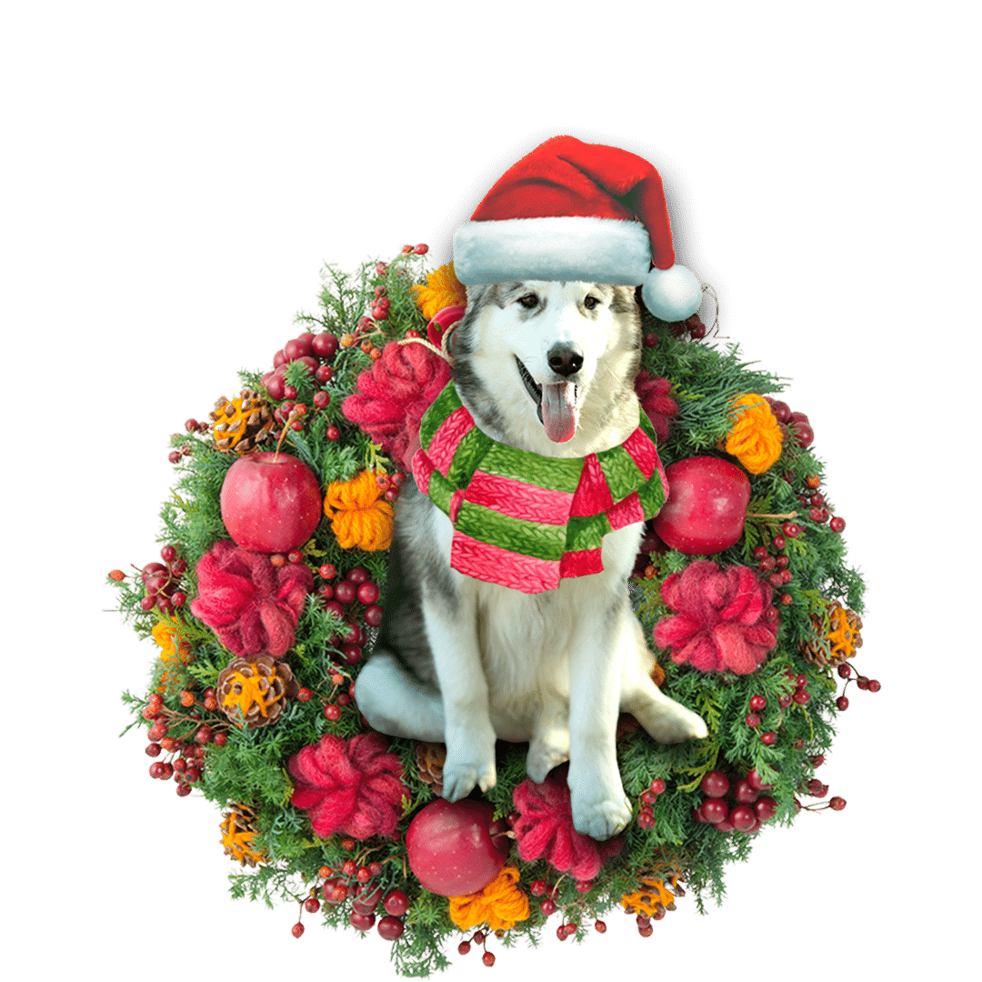 Alaskan Malamute Christmas Christmas Plastic Hanging Ornament, Christmas Ornament Gift, Christmas Gift, Christmas Decoration