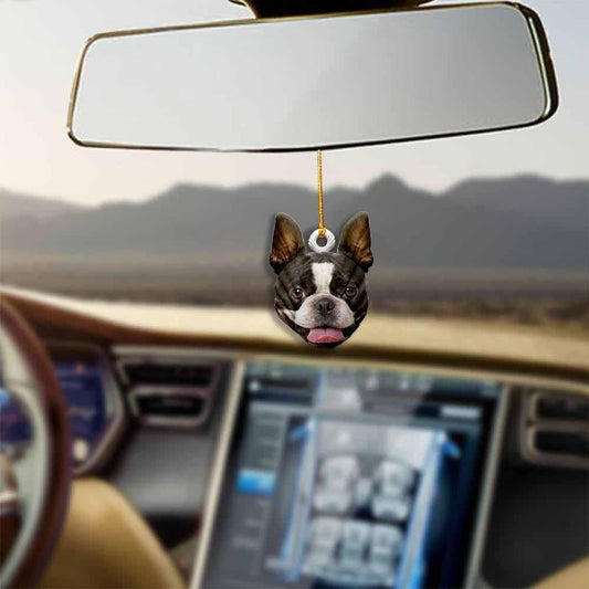 Boston Terrier-Sleeping Pearl in Christmas Two Sided Christmas Plastic Hanging Ornament, Christmas Ornament Gift, Christmas Gift, Christmas Decoration