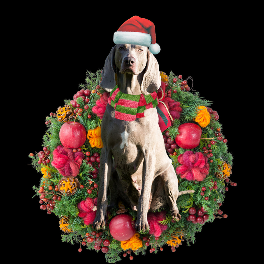 Ornament- Weimaraner Christmas Ornament, Happy Christmas Ornament, Car Ornament - Best gifts your whole family
