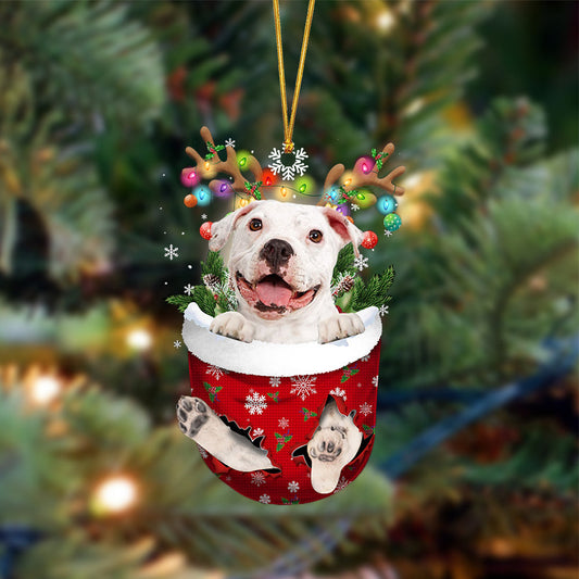 Ornament- WHITE Pitbulll-In Christmas Pocket Two Sides Ornament, Happy Christmas Ornament, Car Ornament - Best gifts your whole family