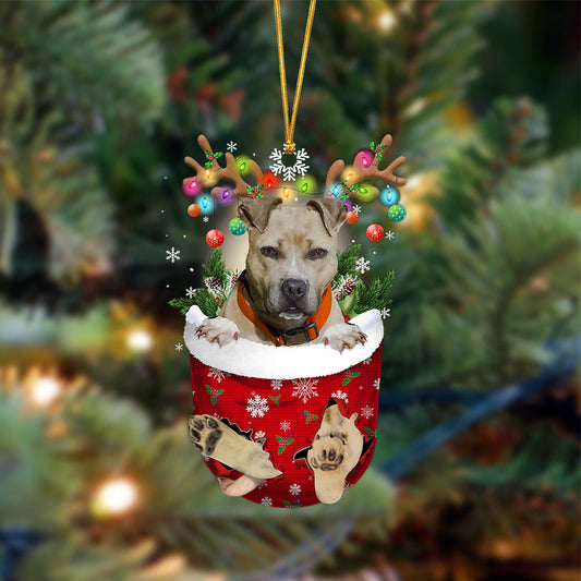 Pitbulll-In Christmas Pocket Two Sides Ornament, Christmas Dog Hanging Ornament - Best gifts your whole family