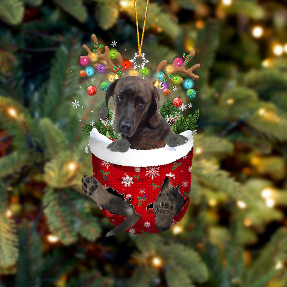 Plott Hound In Snow Pocket Christmas Ornament, Dog Flat Acrylic Ornament - Best gifts your whole family