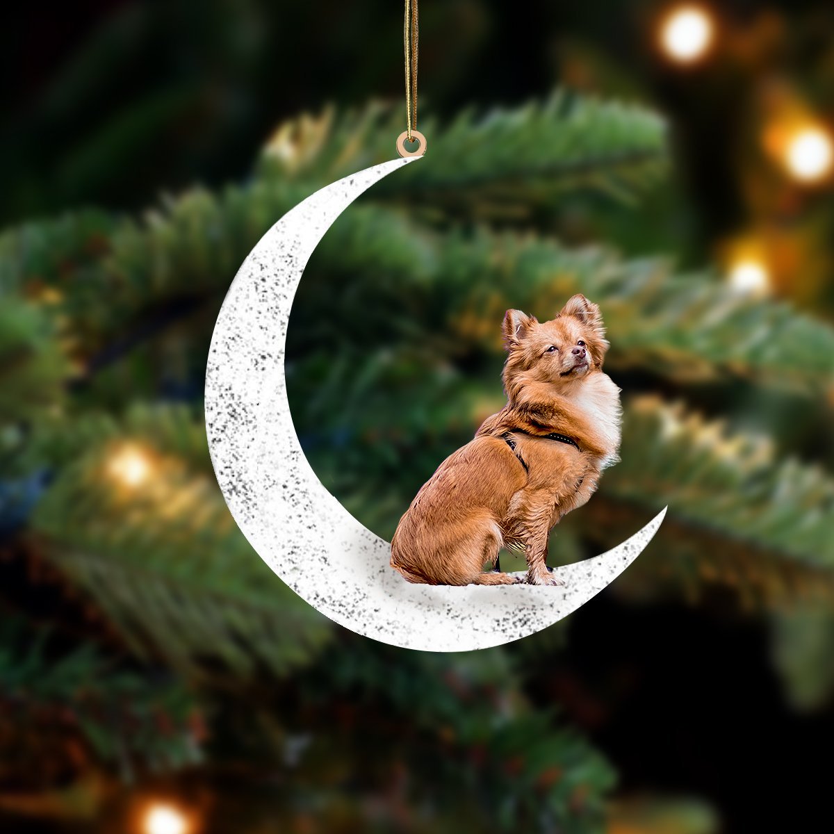 Pomchi Sit On The Moon Two Sided Ornament Dog Hanging Christmas Ornament - Best gifts your whole family