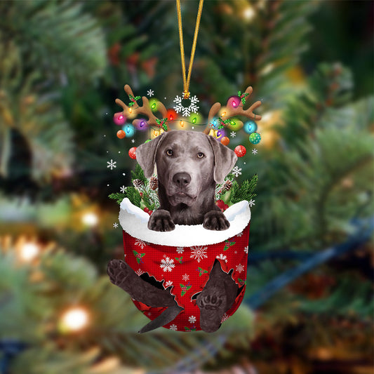 Silver Labrador-In Christmas Pocket Two Sides Ornament, Christmas Dog Hanging Ornament - Best gifts your whole family