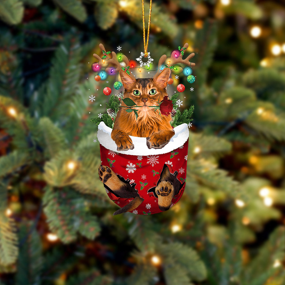 Somali Cat In Snow Pocket Christmas Ornament - Best gifts your whole family