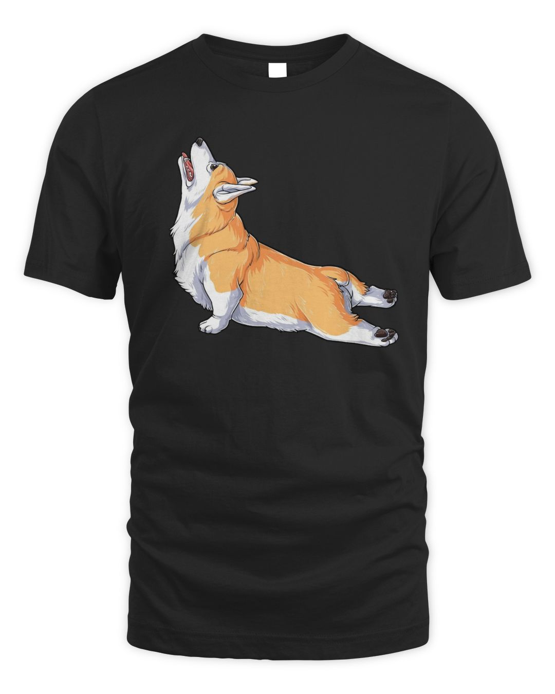 Corgi Yoga