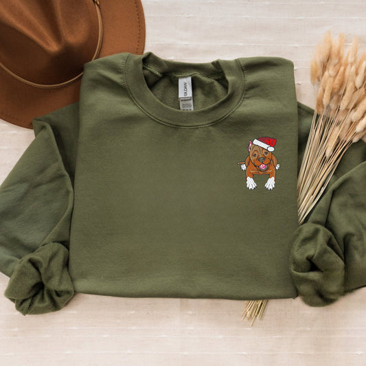 Duck Sweatshirt or Hoodie Matching, Custom Embroidered Valentines Gifts For Boyfriend Girlfriend