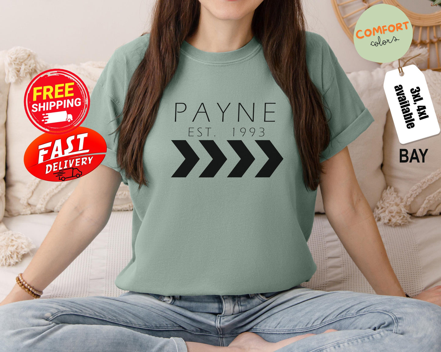 Liam Payne Tribute Shirt, In Memory Of Liam Payne T-shirt, Rip Liam Payne Tee, One Direction Tribute, Comfort Colors Shirt, We Mourn Shirt