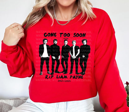 Liam Payne Sweatshirt 1993-2024 Rest In Peace Liam Payne RIP In Memory Of Liam Payne T-shirt 1D Fan Gift For Her Gone Too Soon Tee Memorial