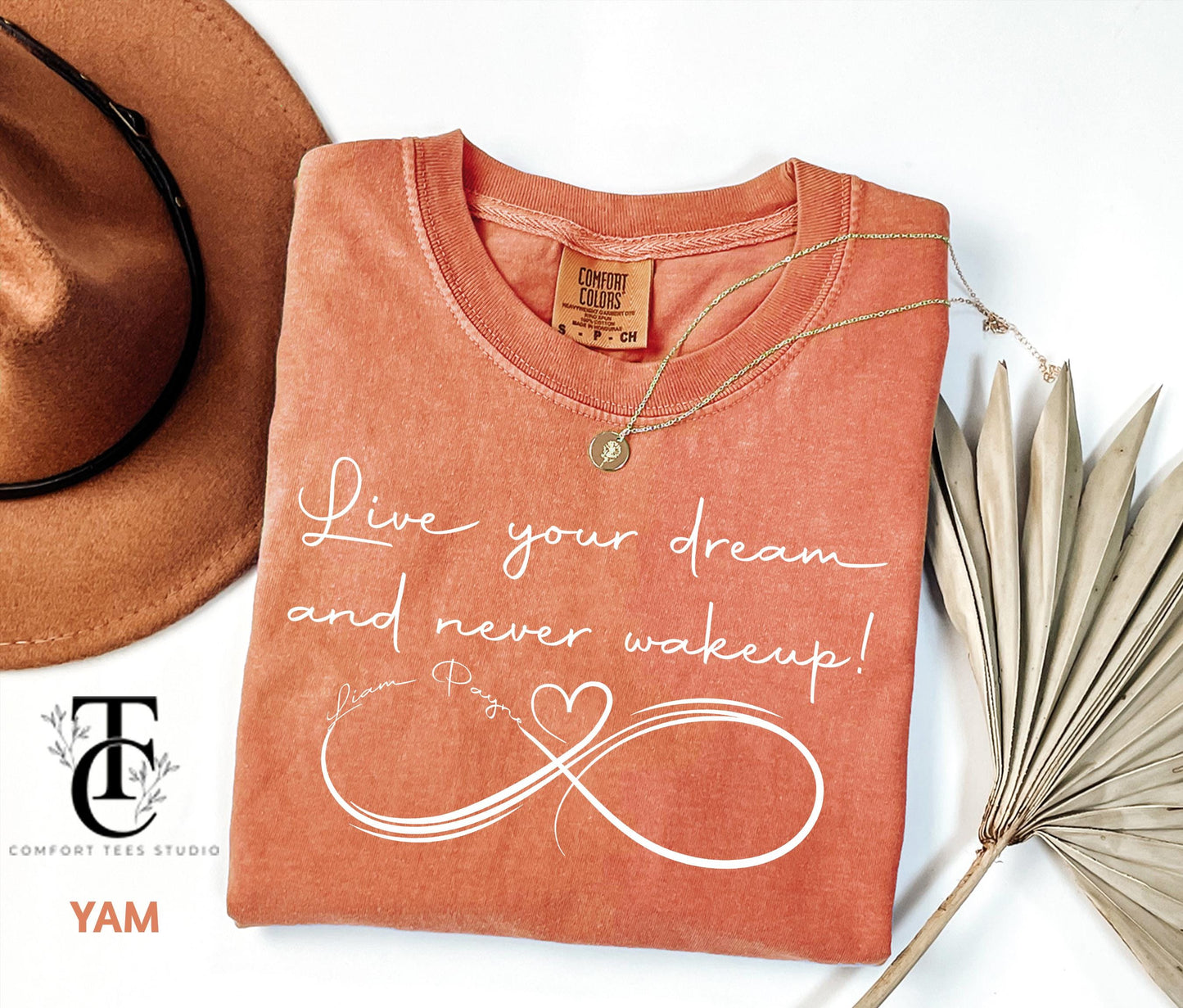 Liam Payne T-Shirt, In Memory Of Liam Payne Shirt, Comfort Colors Rip Liam Payne Shirt, One Direction Reunion, One Direction Fan Tee Shirt