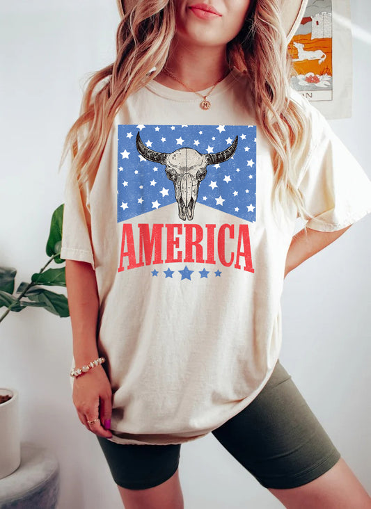 Retro Comfort USA Shirt