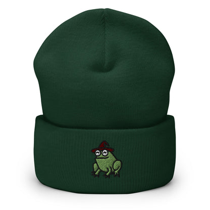 Magical Wizard Toad, Wizard Frog Embroidered Beanie, Handmade Cuffed Knit Unisex Slouchy Adult Winter Hat Cap Gift