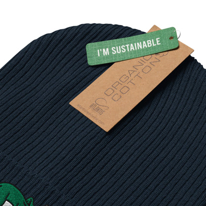 Triceratops Skateboard, Dinosaur Embroidered Beanie, Funny Beanie, Unique Streetwear, Y2K Beanie, Skater Hat, Dinosaur Lover, 90’s Fashion